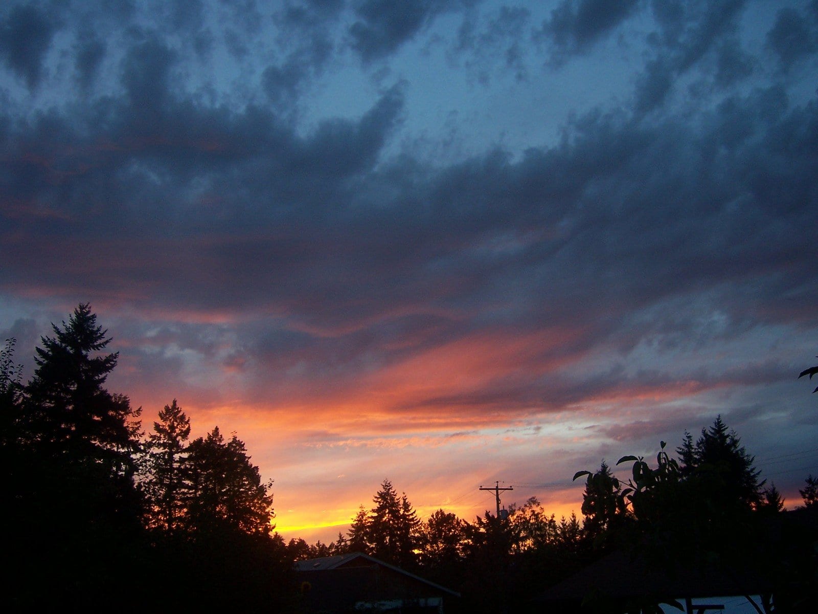 Cloudy sunset sky with silhouetted trees in the foreground