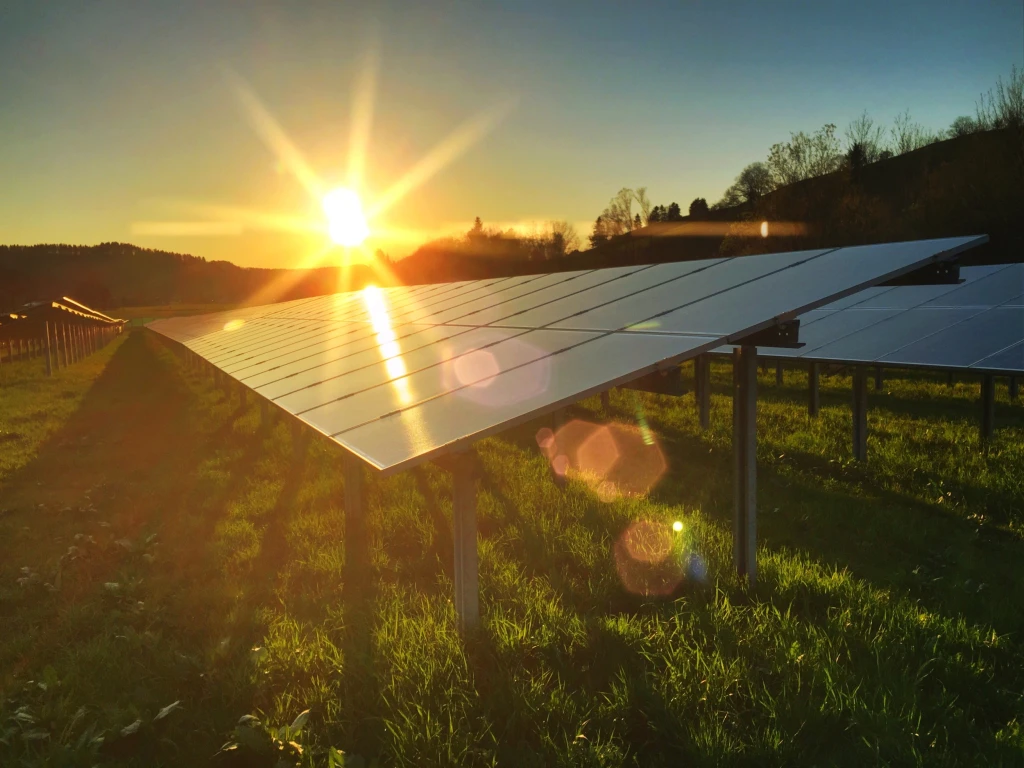 solar panel in front of sunset, how many panels do i need for my house?