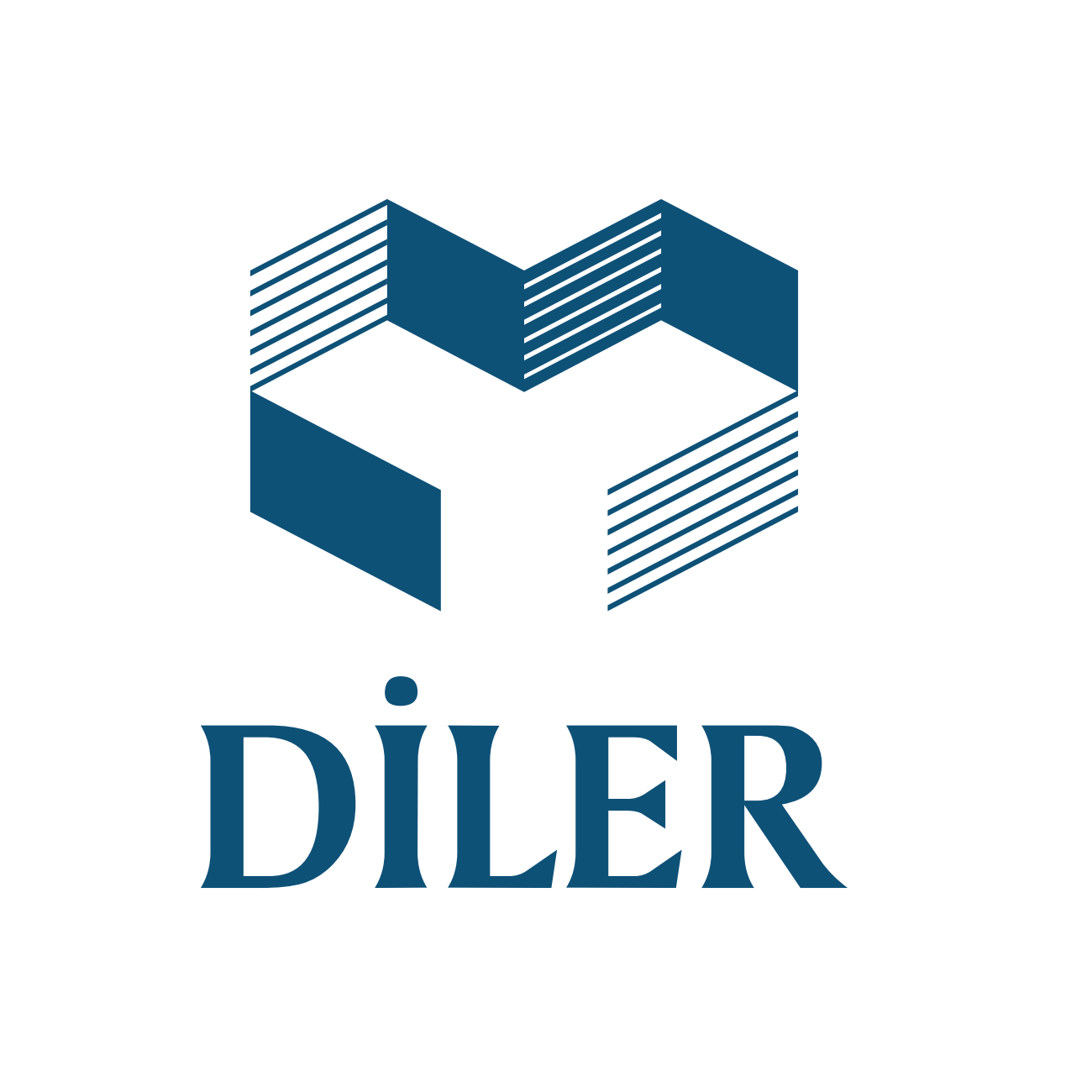 Diler Holding